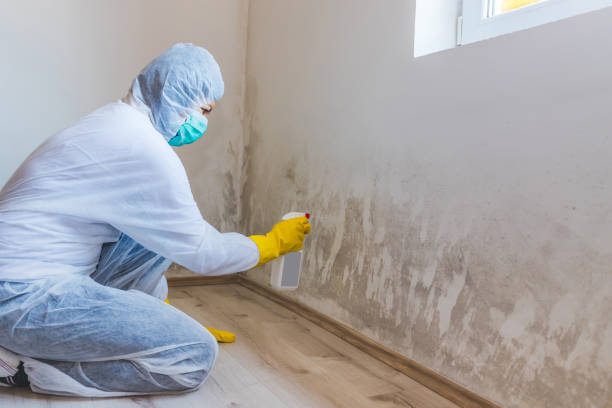 Commercial Mold Remediation assessment for commercial property in Roselle